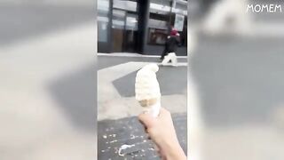 TRY NOT TO LAUGH ! New Challenge Bet You Don't Laugh !!!