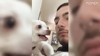 TRY NOT TO LAUGH ! Funny Video Extreme Mode !!