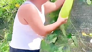 Very funny video not to be missed till the end 2