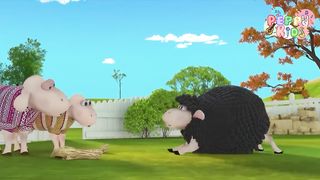 Baa Baa Black Sheep 4