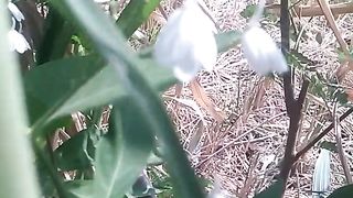 Animal  lovers 7
