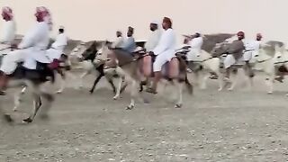 Watch the donkey race spark the interaction of social media activists