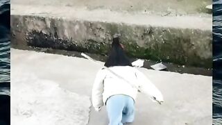 Rooster 4