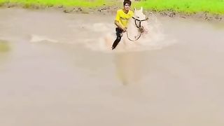 #Horse ???????????? Riding