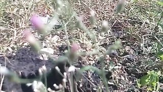 Animal lovers 890