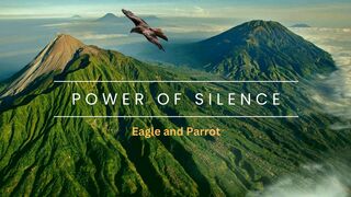 Power of Silence - Eagle and Parrot