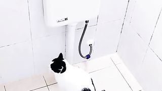 Funny videos i hope you like it