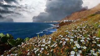 NATURE 5