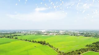 NATURE 6