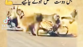Amazing video | Trending