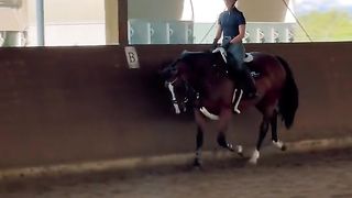 Cute girl riding horse