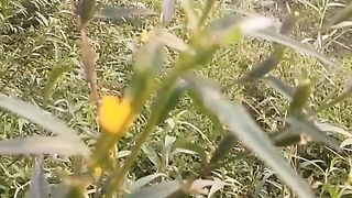 Animal  lovers 9