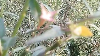Animal  lovers 8