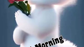 cute cat good morning video