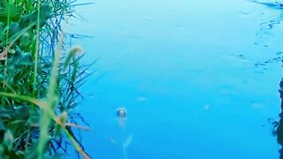 Relaxing Scenery | River Scenery | 4K Nature Video | Nice View Nature