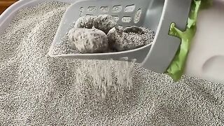 The best kitty pooper scooper