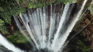nature beauty short video 4k | with relaxing music