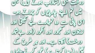 Barish Ka Pani | Surah An Nahl |Quran in Urdu