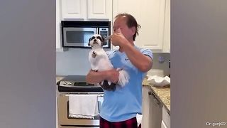 I never thought I'll be a dog person