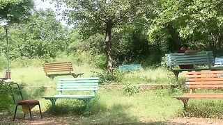 Trees…!