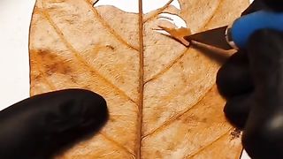 face carving special