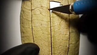 face carving special 7