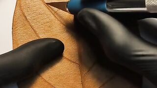 face carving special 8