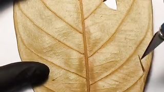 face carving special 14