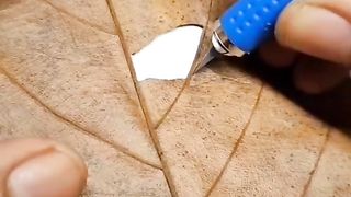 face carving special 13