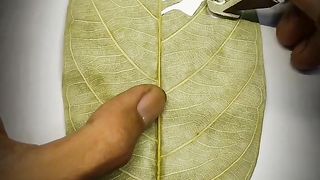 beautiful and enchanting natural carving art 8