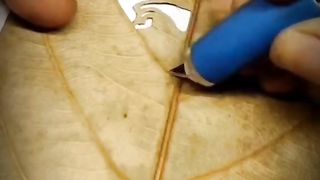 beautiful and enchanting natural carving art 22