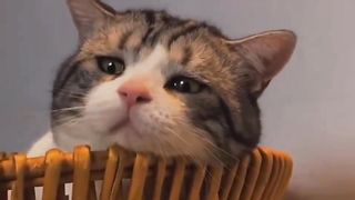 Why are you sad?