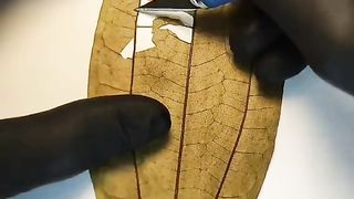 beautiful and enchanting natural carving art 30