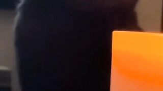 ????️ Funny | Eye Spy Laughs: Sauron's Hilarious Observations | FunFM