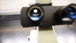 beyond the  Eye Exploring the Microscope A Journey through the Microscope