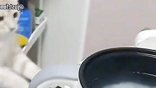 Приколи 378