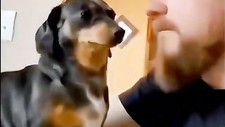 Приколи 376