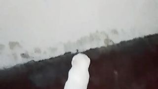 Cat trying for hunting ????????