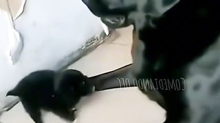 Приколи 384