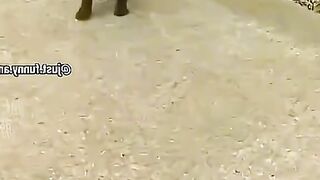 Приколи 390