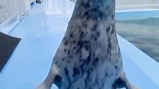 Приколи 392