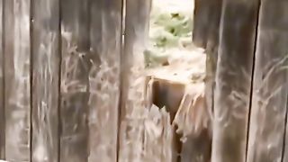 Приколи 393