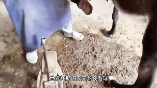 每天三分钟求医不如求己#中医养生 #中医养生知识 #每天学习一点点 #养生 #每天学点中医知识