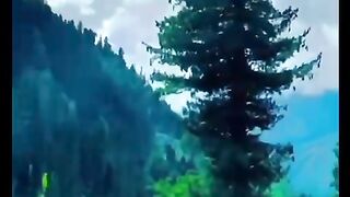 Beautiful nature 90
