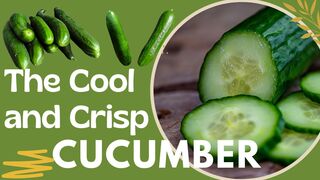 Crisp and Cool: Unveiling the Culinary Magic of Cucumbers