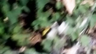 Animal lovers 915