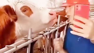 Funny videos ??