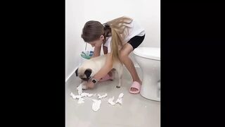 video funny animal part 11