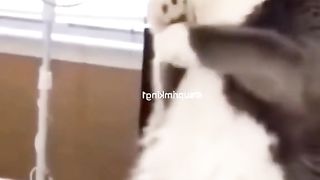прикол 14