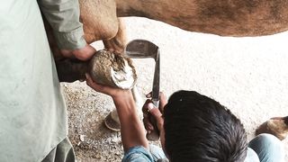 Process Of Horseshoe Forging